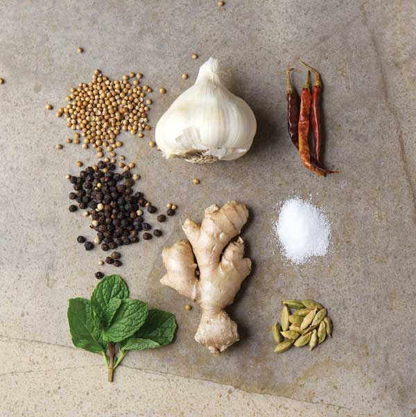 
The spices make chutney flavorful: mustard seed, garlic and red chiles; black peppercorns, ginger and salt; mint and cardomom.
